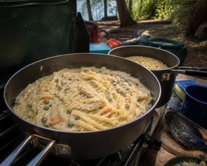 Fettuccine Alfredo with Chicken