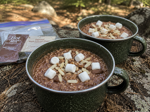 Powdered Milk Hot Cocoa Oatmeal